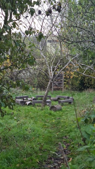 Ruskin Park Wildlife Garden and Pond