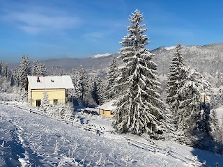 Одинока Смерека ( alone Tree)