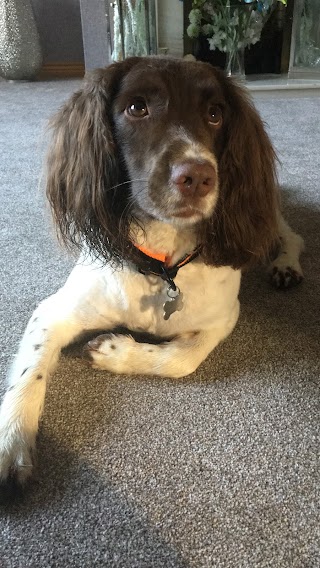 Groom At The Top