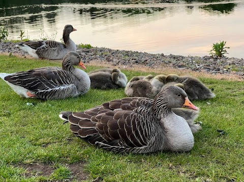 Strathclyde Country Park