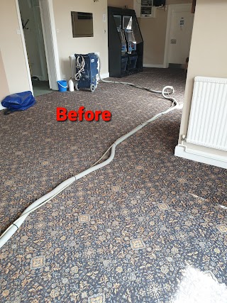 Carpet cleaning services experts