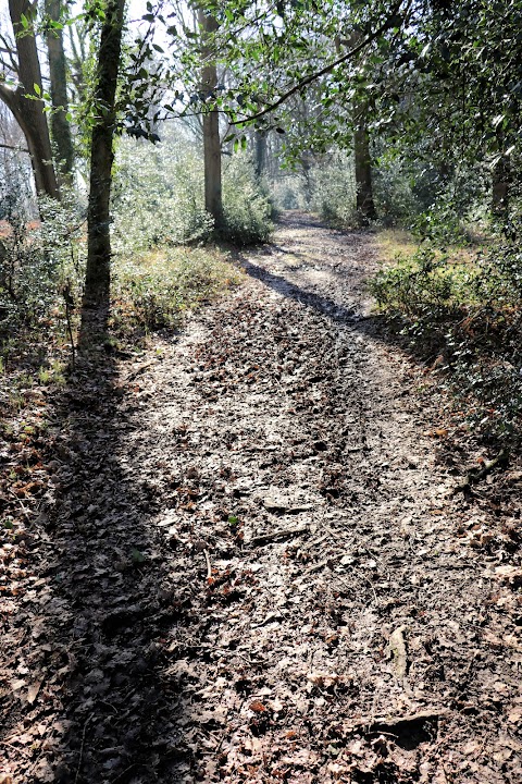 Pamber Forest Nature Reserve