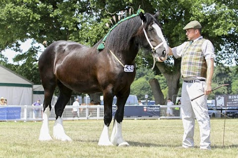 Endell Equine Hospital