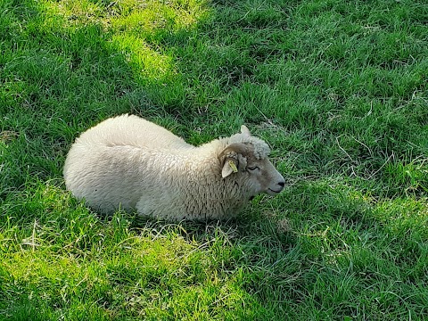 Temple Newsam Home Farm