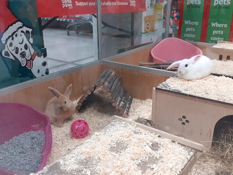 Pets at Home Aberdeen