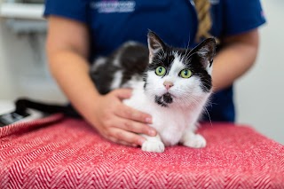 Summerdale Veterinary Centre