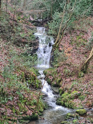 Rivelin Glen