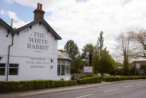 White Rabbit Hotel