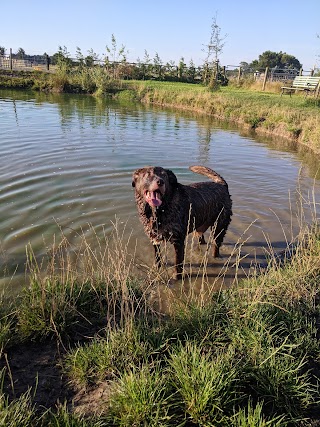 Scarisbrick Dog Walking Field