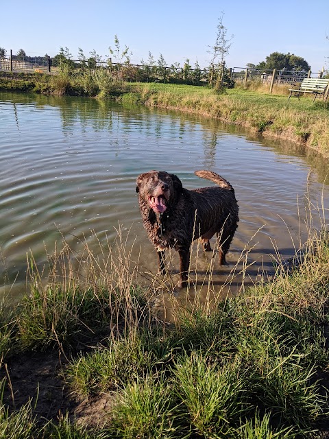 Scarisbrick Dog Walking Field