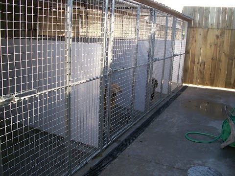 Keelstown Boarding Kennels