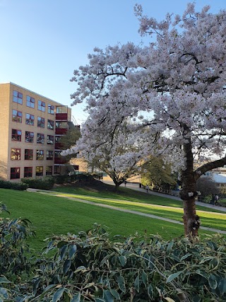 Stag Hill Reception, Surrey University