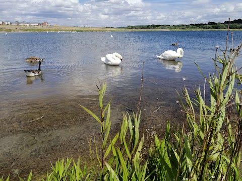 Waverley Lakes & Park