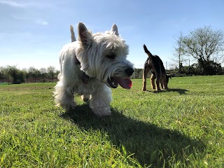 Harvington Kennels & Cattery