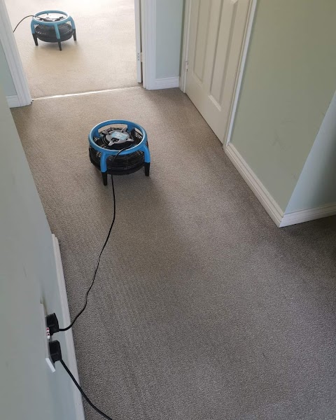 Mycare Carpet Cleaning Bristol