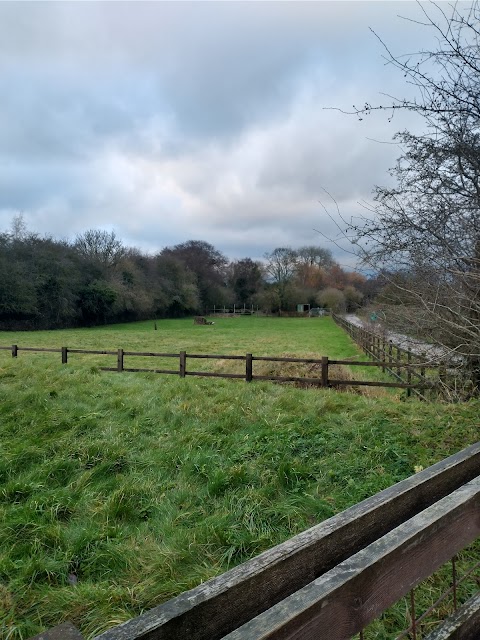 Former Field of Oink the Water Buffalo