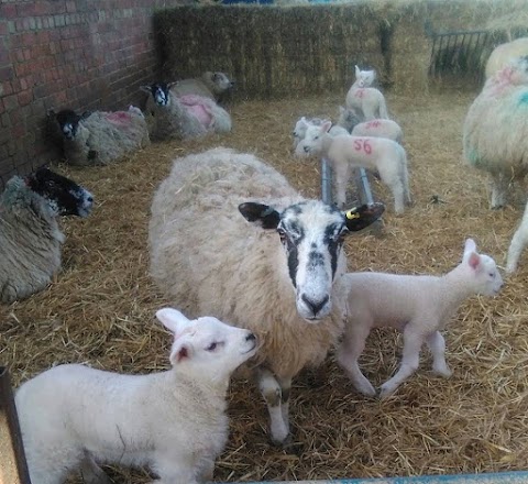 Lancaster Farm Shop