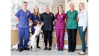 Willows Veterinary Group - Alsager Vet Centre