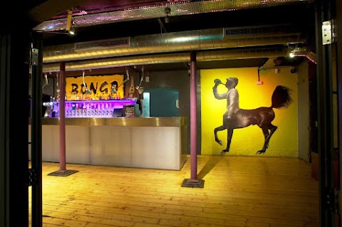 The Bongo Club