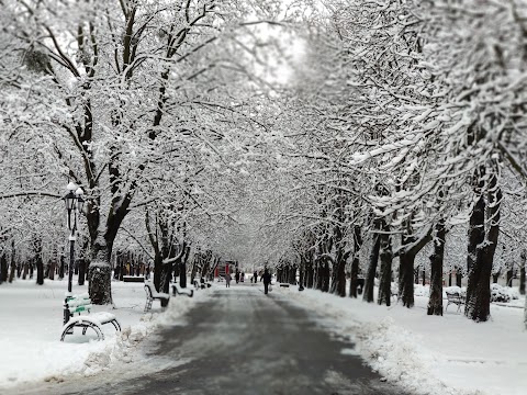 Парк культури та відпочинку