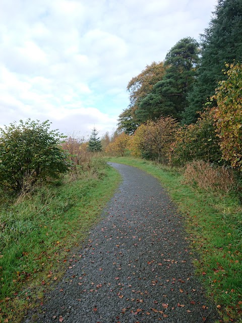 Ardoch Kennels