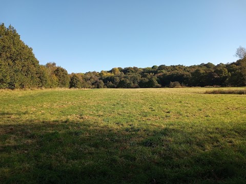 Haughton Dale Nature Reserve