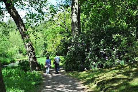 Fairhaven Woodland & Water Garden