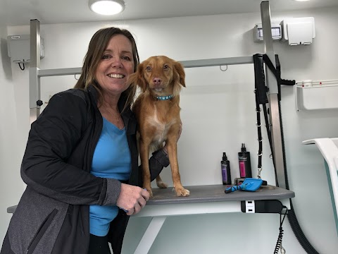 Pawgeous Mobile Dog Grooming