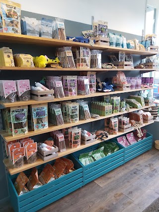 Balham Bark Doggy Store