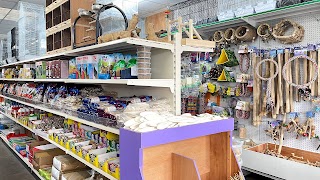 London Bird Shop