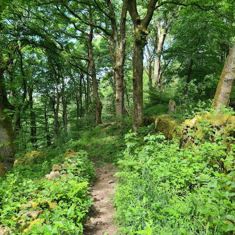 HATCH BROOK WATERFALL