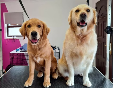 Teddy's Cuts Dog Grooming Cabin