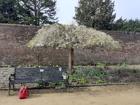 Kings Park Walled Garden