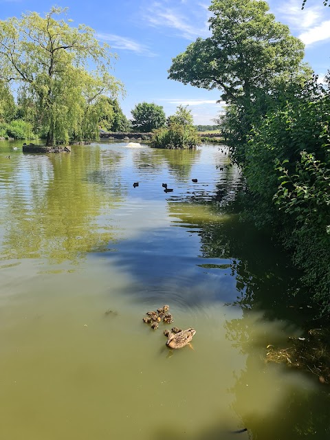 Winterbourne Duck Pond