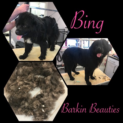 Barkin Beauties Boutique