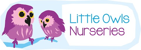 Little Owls Nursery Chapel Allerton