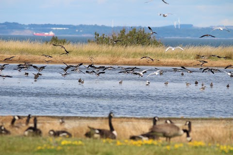 Musselburgh Lagoons