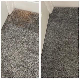 Sharp Solutions Carpet & Upholstery Cleaning