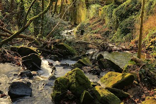 Lumsdale Waterfall