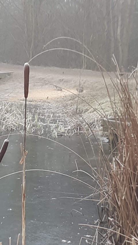 Colliery Nature Park