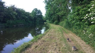 Doveside Luxury Boarding Kennels