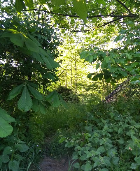 Woolley Wood Recreation Ground