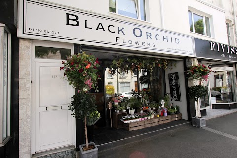 Black Orchid