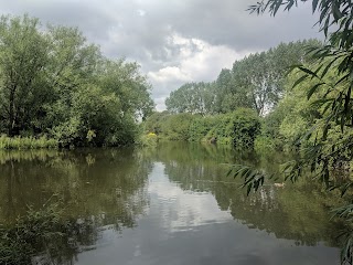 Anker Wood (formerly Plantasia)