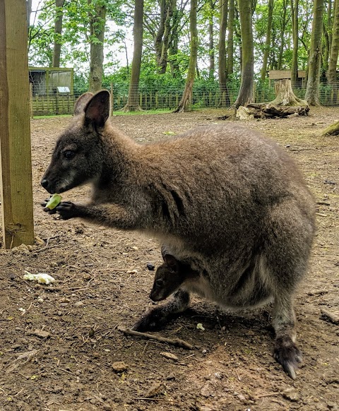 Bridlington Animal Park