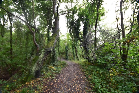 Cotwall End Local Nature Reserve