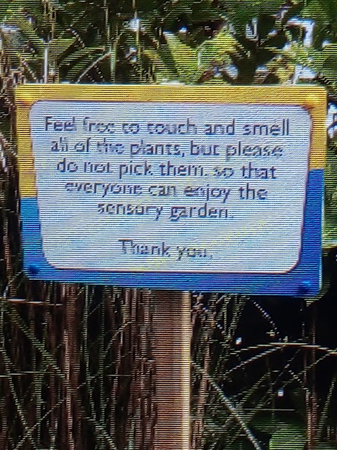 Something Special Sensory Garden