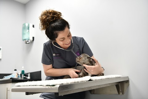 Godiva Veterinary Clinic