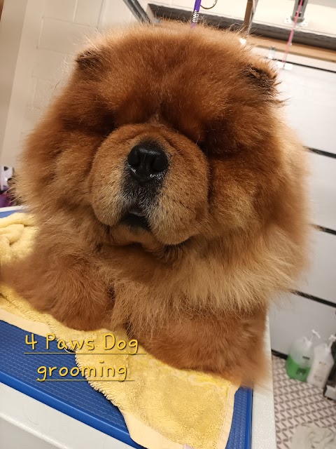 4 Paws dog grooming Quorn