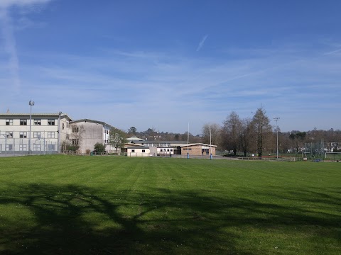 Tavistock College